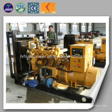 CE Approbation Power Generator Biogas